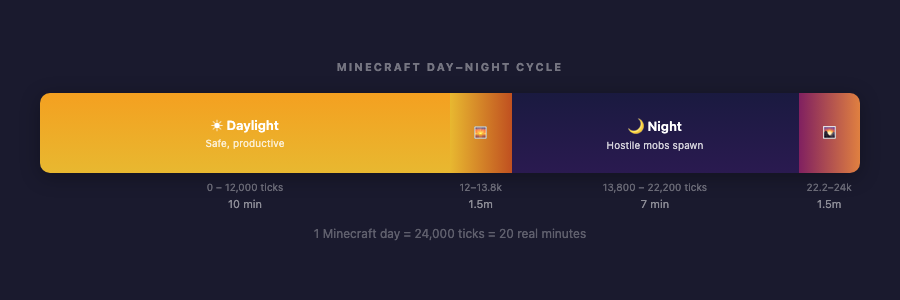 Day-night cycle: 20-minute breakdown of daylight, sunset, night, and sunrise